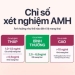 Chỉ Số AMH Bất Thường